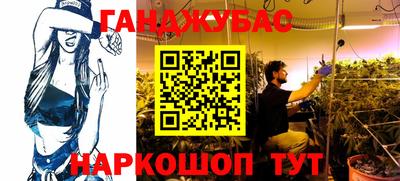 крисы Баксан