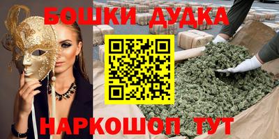 крисы Баксан