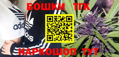 тгк Аша