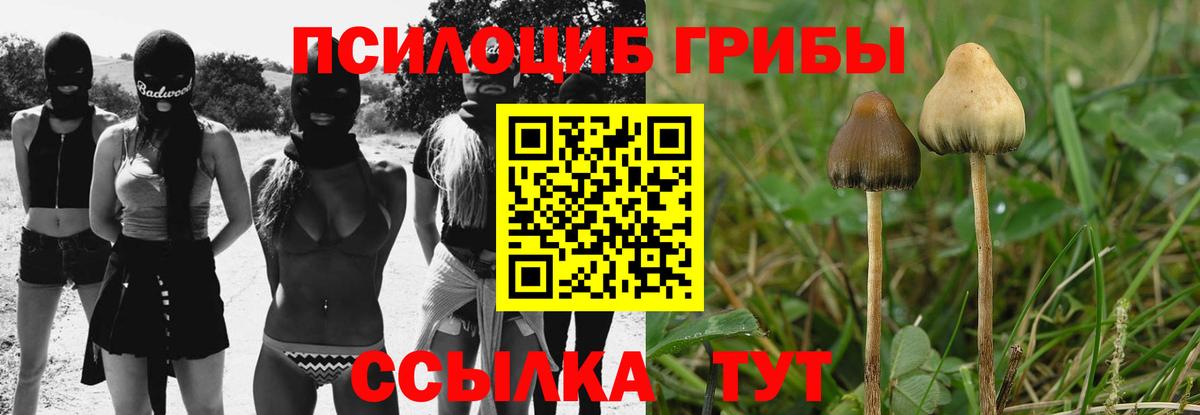 Псилоцибиновые грибы мицелий  Галлюциногенные грибы MAGIC MUSHROOMS  Вход с VPN  Бутурлиновка 